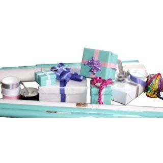 The Gift Wrap Company Solidly Chic Gift Wrap and Ribbon Ensemble