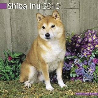 Shiba Inu 2012 Wall Calendar #10089 12
