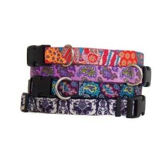   Dog Collar  4 colors   Black Paisley Small 3/4in wide x 10in 14in long