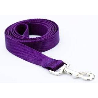  Medium Purple Nylon Webbing Dog Collar 3/4 wide, Adjusts 