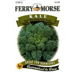 Ferry Morse Seeds 1293 Kale   Dwarf Blue Curled, Vates 2 Gram Packet