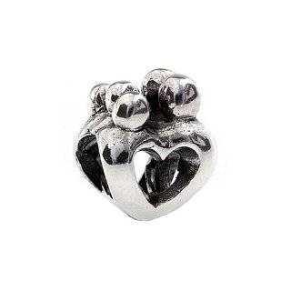  Reflections(tm) Sterling Silver Family of 5 Bead / Charm 