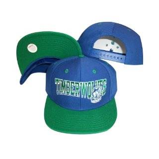 Minnesota Timberwolves Wave Blue / Green Two Tone Plastic Snapback 