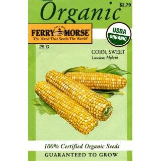   Cream Sweet Corn Plus Pack 100 Seeds   ORGANIC Patio, Lawn & Garden