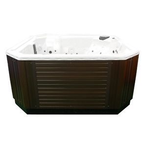 6 Person Deluxe Emerald Brand Spa Hot Tub Jacuzzi 110/220V  2 Pumps and 35 Jets