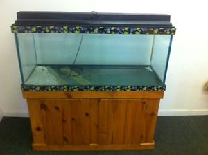 75 Gallon Glass Aquarium Fish Tank with Pine Stand