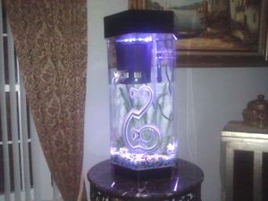 Acrylic Hexagon Aquarium Fish Tank with Light Heater and Filter