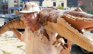 Huge 6 Foot Giant Stuffed Crocodile Big Plush High Quality Brown 6 Feet Long