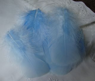 30 Soft Baby Blue Hand Selected Turkey Feathers 3 5"