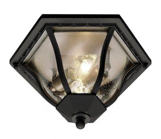 Transitional Two Light Down Lighting Outdoor Flush Mount Ceiling Fixture from TH