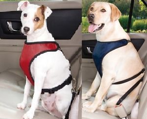 Guardian Gear Ride Right Dog Car Harness Berber Lining Water Resistant Secure