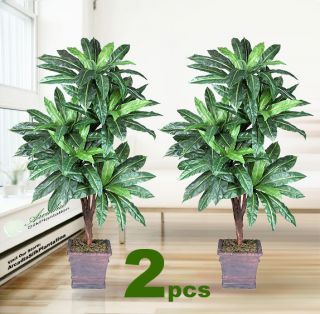 Two 6' Bird Nest x5 Artificial Tropical Tree Silk Plant