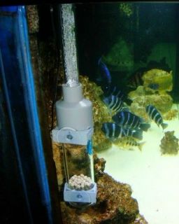 Cichlid Fish Breeding Egg Incubate Tumbler Box Aquarium