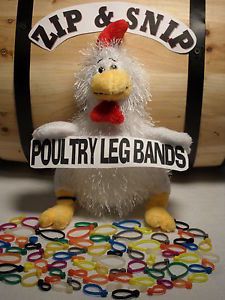 50 Multi Colored Leg Bands One Size Fits All Poultry Chicken Duck Turkey