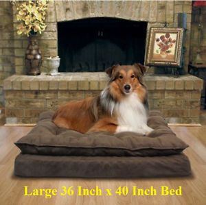 Best Large Dog Bed Orthopedic Dog Bed Memory Foam Dog Bed Cooling Gel Dog Bed