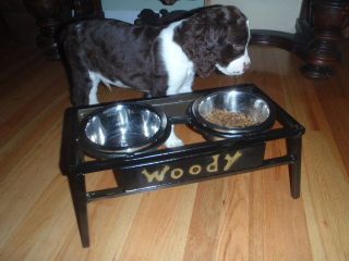 Personalized Elevated Dog Feeder Wrought Iron Your Pets Name Stainless Bowls 1qt