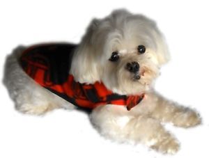 Football Hooded Dog Sweater Size Extra Small Dog Coat Dog Jacket New USA Made