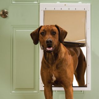 PetSafe Premium Dog Cat Pet Door w Closing Panel XL Extra Large PPA00 10961