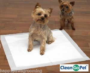 400 Ct Clean Go Pet Puppy Pee Pad Dog Housebreaking House Training Pads 22x23"