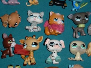 Littlest Pet Shop LPS Lot 100 3 103 Pets Frog Horse Fish Bunny Dog Many Pics