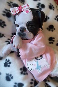 Reborn Boston Terrier Dog Puppy Girl Art Doll Baby OOAK Newborn Princess Pug Kit