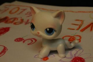 C4 Happy Littlest Pet Shop LPS 64 RARE White Pink Short Hair Cat Blue Eyes