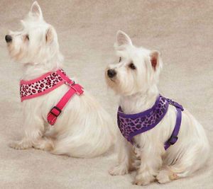 Vibrant Leopard Soft Dog Harness Harnesses East Side Collection Pet