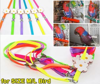 Adjustable Large Medium Parrot Bird Harness Leash Multicolor Light Soft Fashion