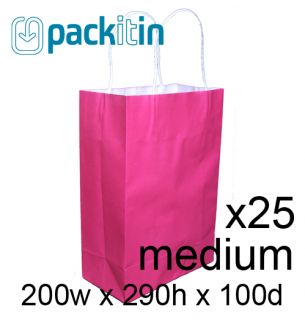 X25 Hot Pink Paper Gift Carry Tote Party Bags Handles Medium 200 x 290mm