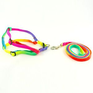 Simple Small Puppy Pet Dog Harness Lead Dog Nylon Dog Harness Leashes Colorful