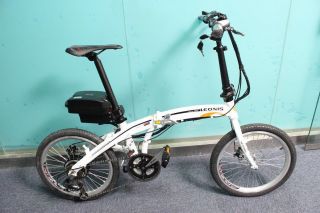 2013 Foldable Electric Bicycle 48V 350W E Bike with 48V 12AH Frog Case Battery