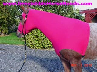 Hot Pink Horse Hood Slinky Sleezy Tail Bag x Small