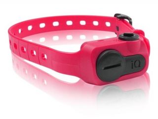 Dogtra IQ No Bark Dog Pet Control Shock Vibration Collar Pink IQ Bark Pnk