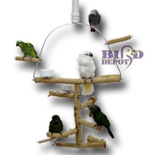 Waynes Bottlebrush Hanging Play Gym Perch Stand Bird Parrot Large 3912W