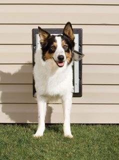 PetSafe Wall Entry Pet Dog Cat Door Small Medium Large