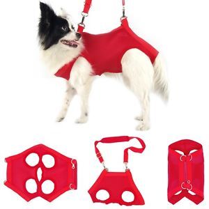 Red Dog Pet Puppy Harness Free Leash Sling Tote Carrier Carrying Case Bag Pouch