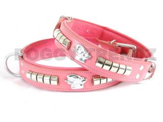 English Bull Terrier Pink Leather Dog Collar Padded