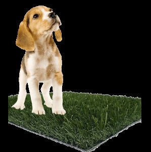 Artificial Grass Turf Puppy Potty Dog Pad Pet Mats Pet Pad