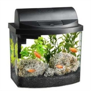 Countertop Small Aquarium Fish Tank Light Water Conditioner Great Starter Tank