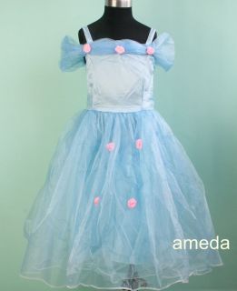 Halloween Cinderella Princess Dress Costume 1 10Y Z093
