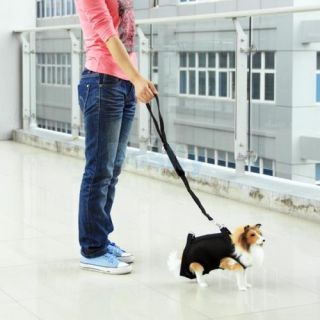 3 in 1 Multi Function Pet Dog Coat Apparel Clothes Leash Harness Carrier Bag M