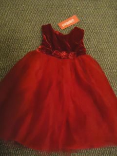 Gymboree Holiday Celebrations Dress Red Velvet Tulle Dress Rose 12 18 MO