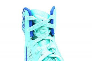 615896 301 Mens Nike Zoom Hyperfuse 2013 Green Glow Game Royal Basketball Shoe