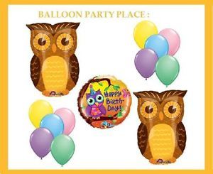 Hoot Peace Barn Owl Birthday Party Supplies Balloons Rainbow of Color 13 Set