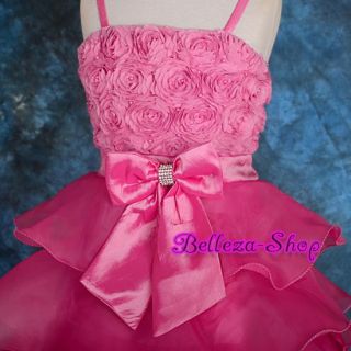 Hot Pink Wedding Flower Girl Pageant Party Dress Sz 8 9