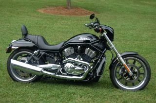 2006 Harley Davidson V Rod