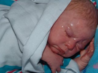 Reborn Deidre Newborn Fake Baby Lifelike Doll Boy 31LTD Ed Adrie Stoete Sold Out