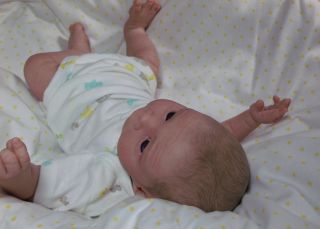 Le Josephine Klinger Beautifully Reborn Baby Boy Newborn Doll COA Included