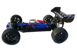 redcat caldera buggy