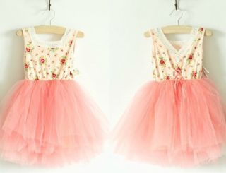 Baby Toddler Clothing Girls Floral Print Chiffon Pink Dress 2T